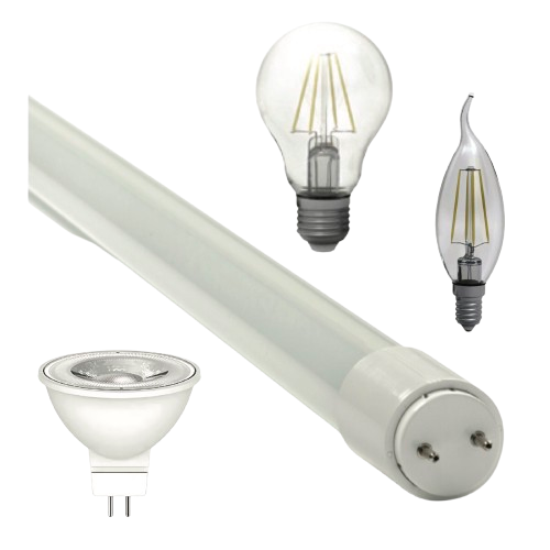 Bulbs
